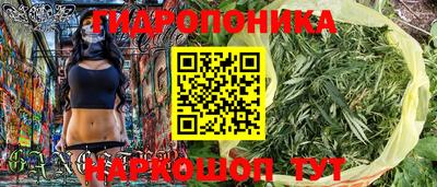 мяу мяу мука Лесосибирск