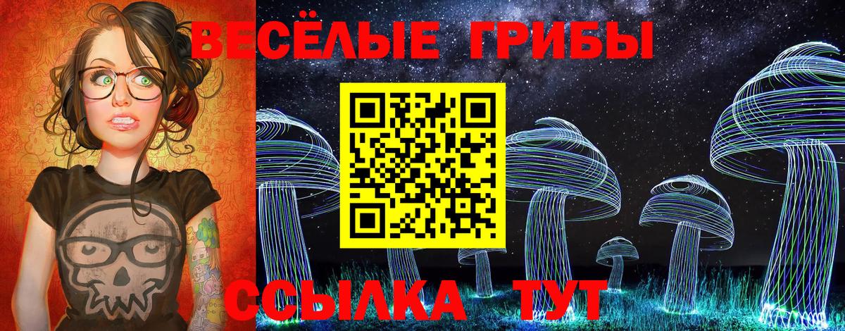 Видное  Галлюциногенные грибы прущие грибы  Псилоцибиновые грибы Magic Shrooms  Вход с VPN 