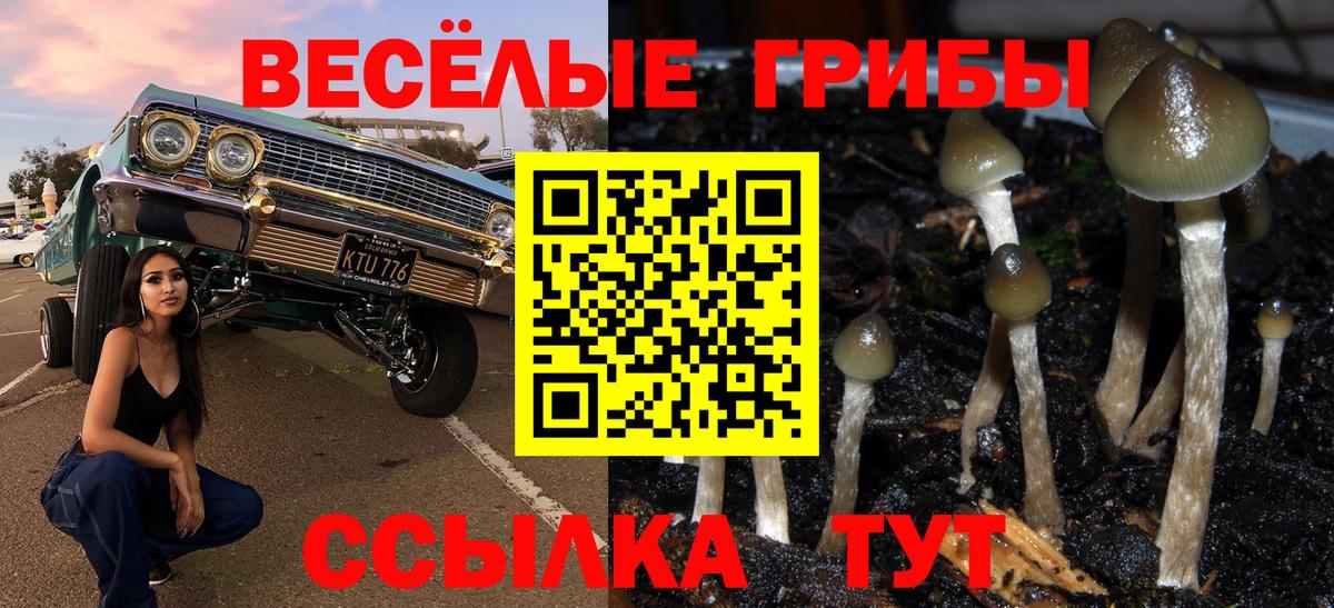 Псилоцибиновые грибы ЛСД Видное